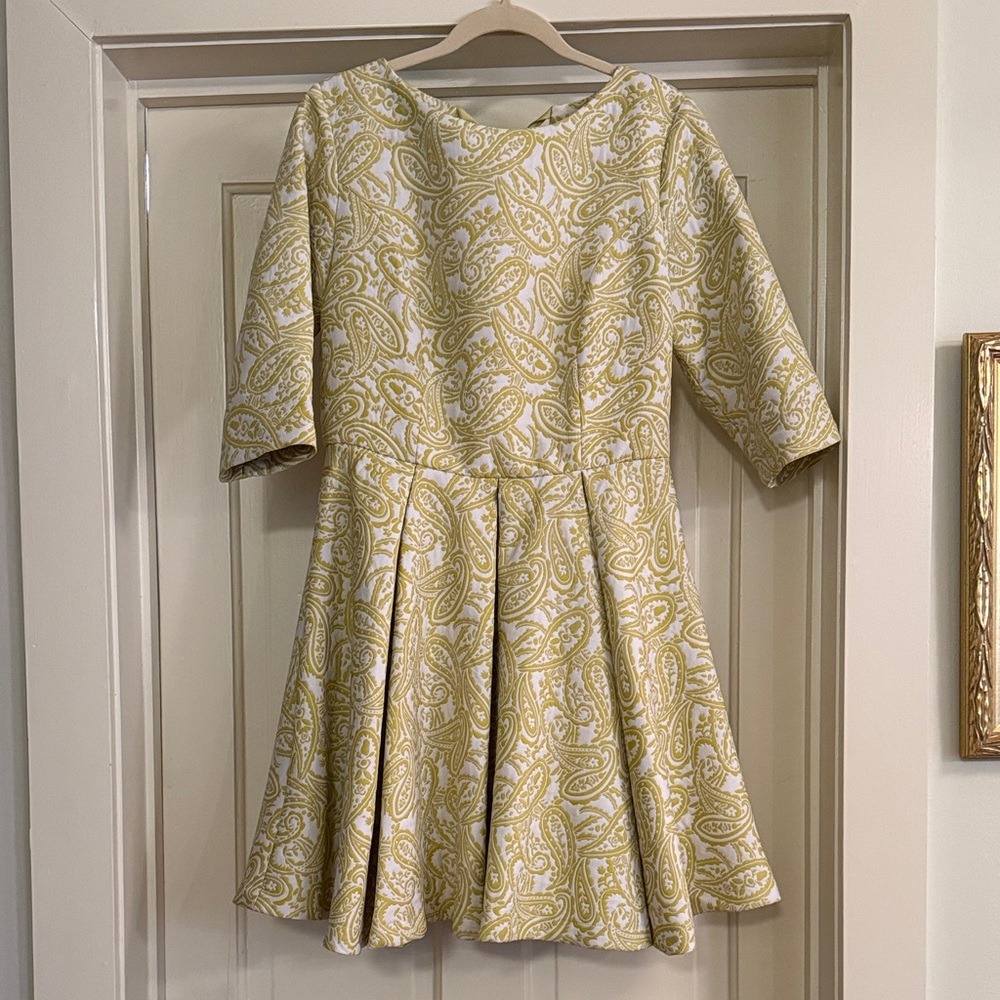 Paisley Cinched Waist full skirt dress